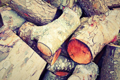 Oritor wood burning boiler costs